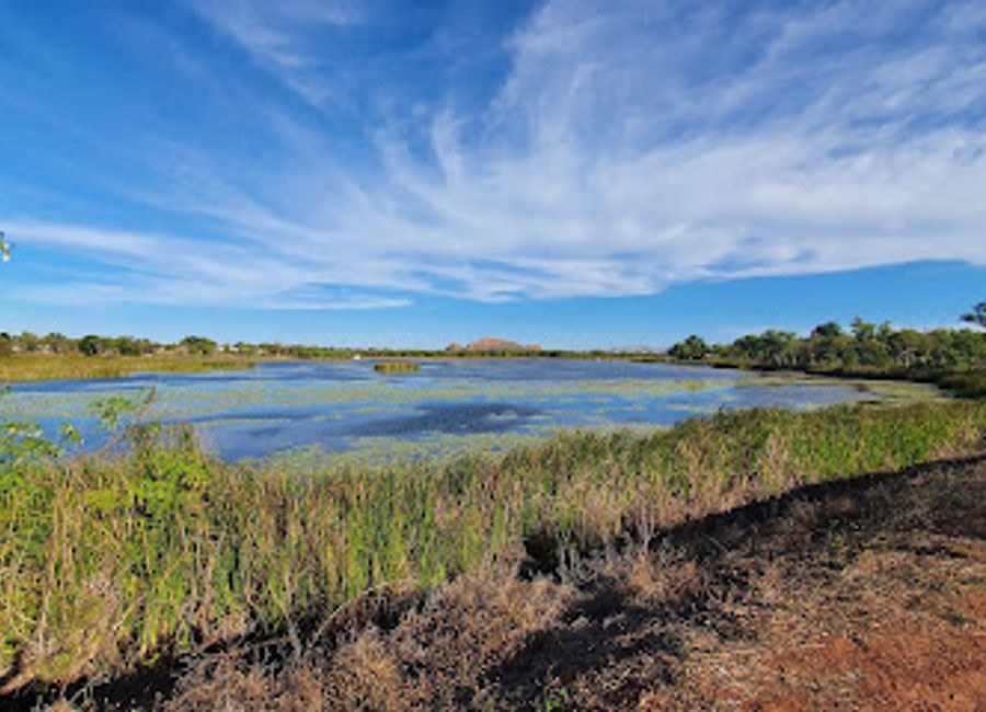 Explore the stunning Celebrity Tree Park in Kununurra, where nature and culture intertwine amidst towering trees and breathtaking landscapes.