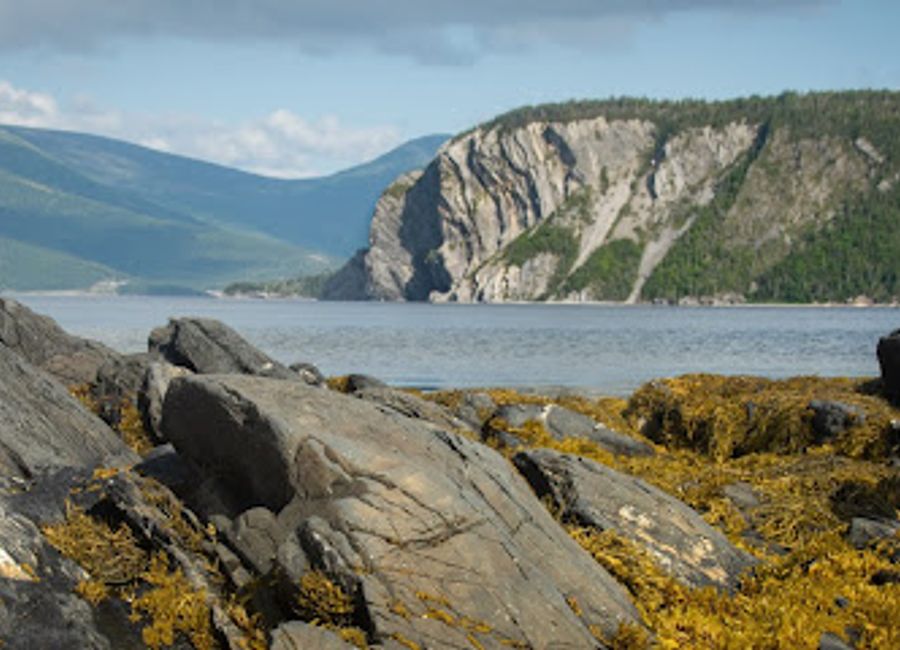 Explore the breathtaking landscapes of Gros Morne National Park with Gros Morne Adventures, your premier tour operator for hiking and adventure sports in Newfoundland.