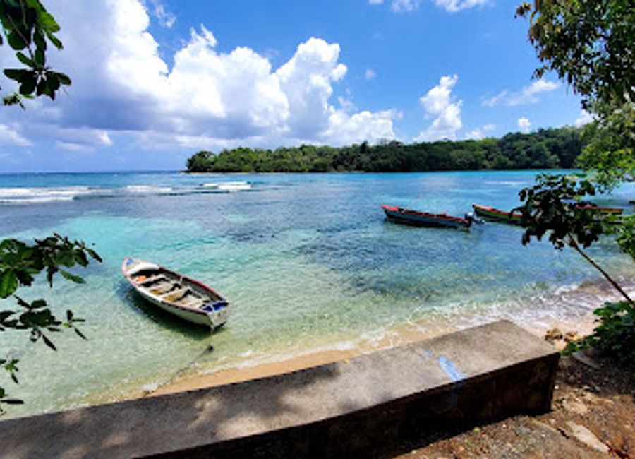 Experience the breathtaking beauty of Port Antonio with Portie Tours, your guide to Jamaica’s hidden treasures and vibrant culture.