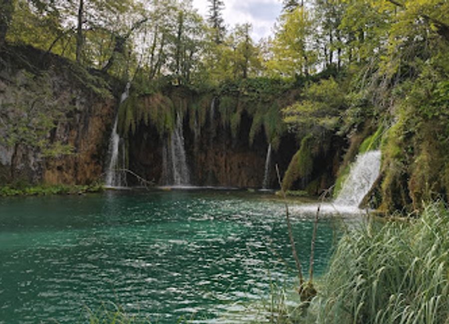 Discover the breathtaking natural beauty and diverse wildlife at IVA Ecological Park in Plitvička Jezera, a true haven for nature enthusiasts.