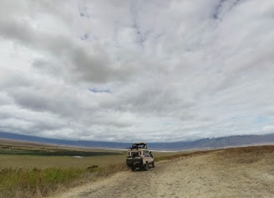 Explore the serene beauty of Mandusi Swamp in Mti Mmoja, Tanzania, a tranquil park brimming with wildlife and natural wonders.