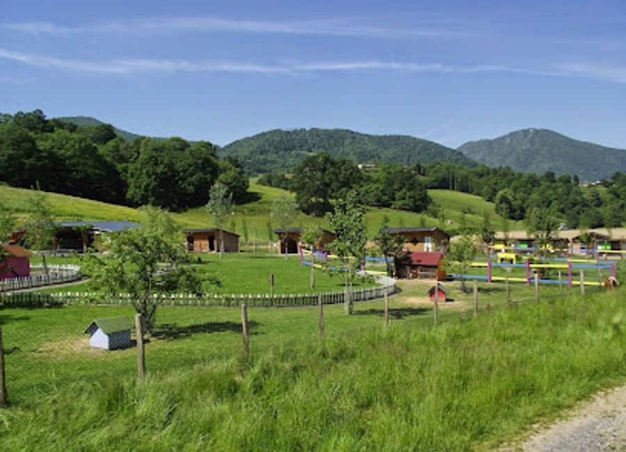 Discover a world of animals at La Ferme Du bon'air in Lourdes, a charming farm park offering hands-on experiences, educational fun, and a delightful escape into nature for the whole family.