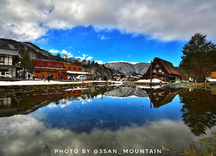 Discover tranquility at the Water Lily Pond in Shirakawa, where vibrant blooms and serene waters create a perfect getaway for nature lovers.