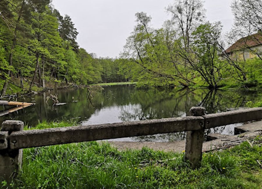 Explore the enchanting Źródła Rzeki Łyny, a wildlife refuge and stunning natural attraction in Poland, perfect for nature lovers and outdoor enthusiasts.