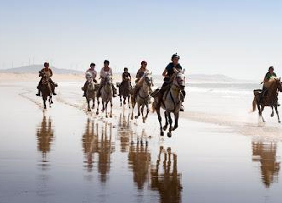 Unleash your adventurous spirit at Zouina Cheval, the ultimate horseback riding destination in Diabat, Morocco, surrounded by stunning landscapes.