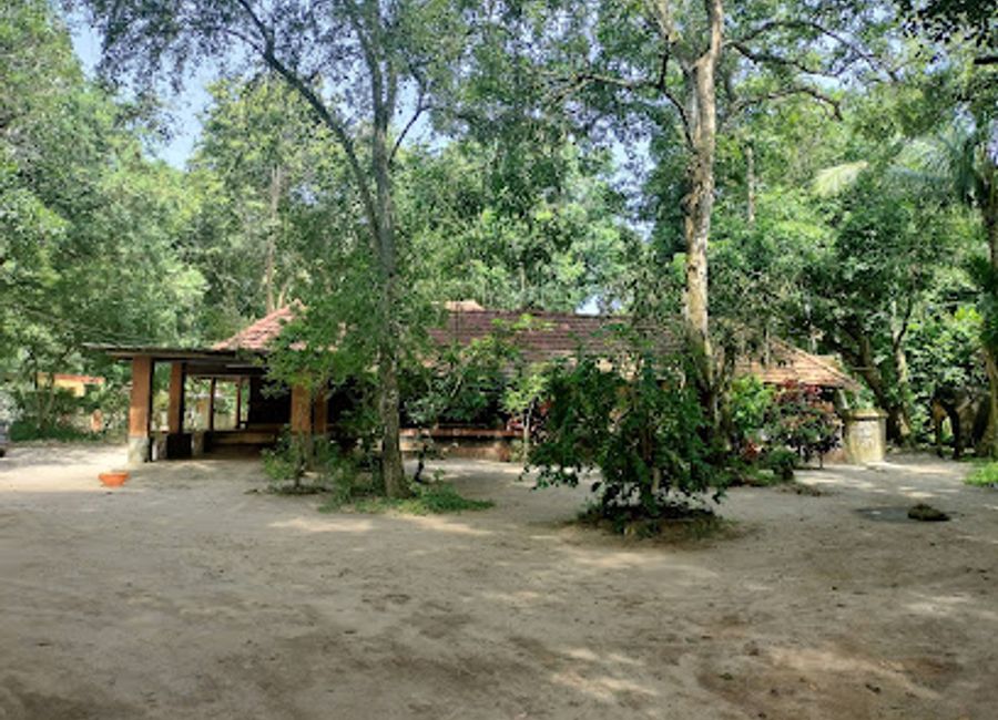 Discover the enchanting world of elephants at the Elephant Training Camp in Alleppey, Kerala—an unforgettable adventure for wildlife enthusiasts.