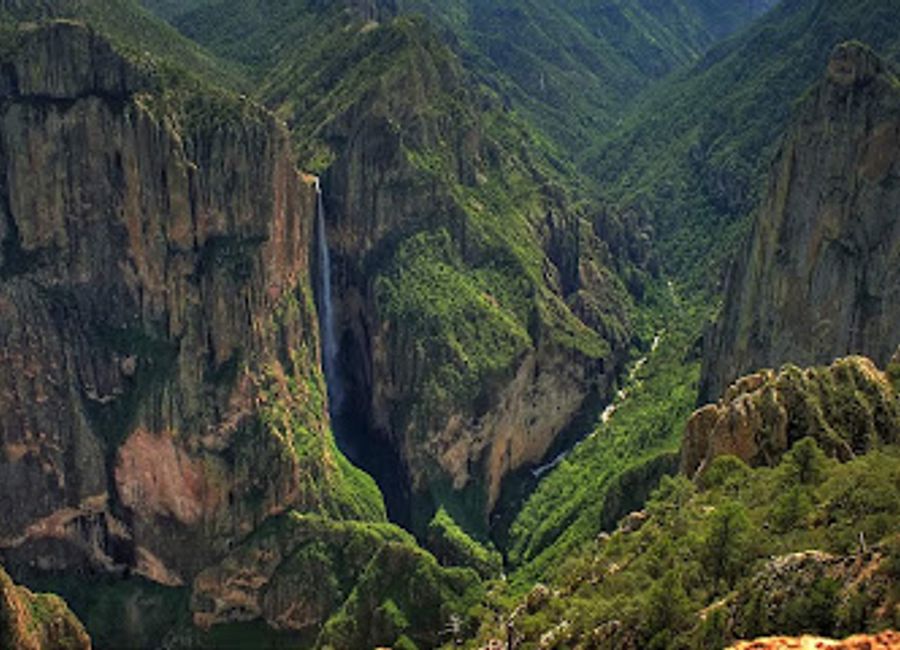 Experience the breathtaking beauty of Cascada de Basaseachic National Park, a natural wonder filled with stunning waterfalls, diverse wildlife, and endless adventure.