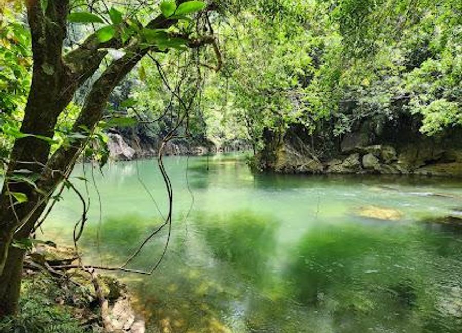 Discover the stunning beauty and thrilling adventures at Reserva Natural Cañon Del Río Claro, a must-visit park in Antioquia, Colombia.