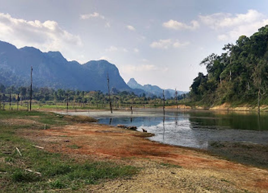 Experience the serene beauty of Khlong Pae, a tranquil tourist attraction in Surat Thani, perfect for relaxation and scenic exploration.