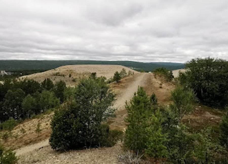 Explore the stunning sand dunes and diverse ecosystems of Kvitsanden Landscape Protection Area near Røros, Norway.
