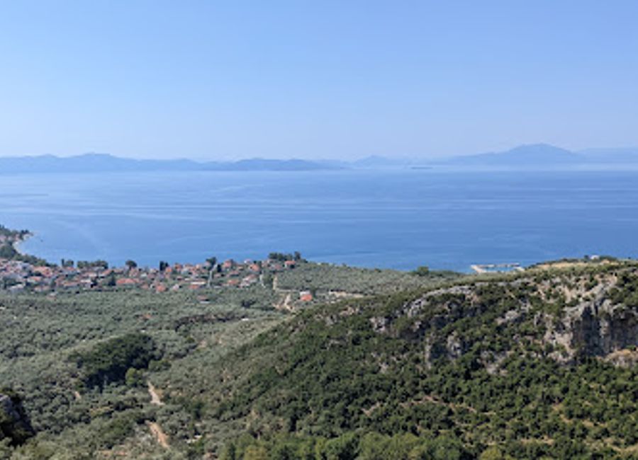 Embark on a scenic journey through the Pelion region aboard the historic Train of Pilio, where breathtaking landscapes and rich history await.