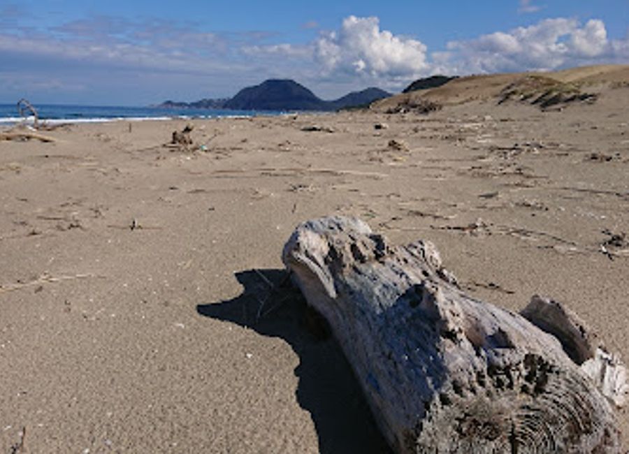 Experience the breathtaking beauty of Horse Back Dune in Tottori, Japan, where adventure meets stunning natural landscapes on horseback.