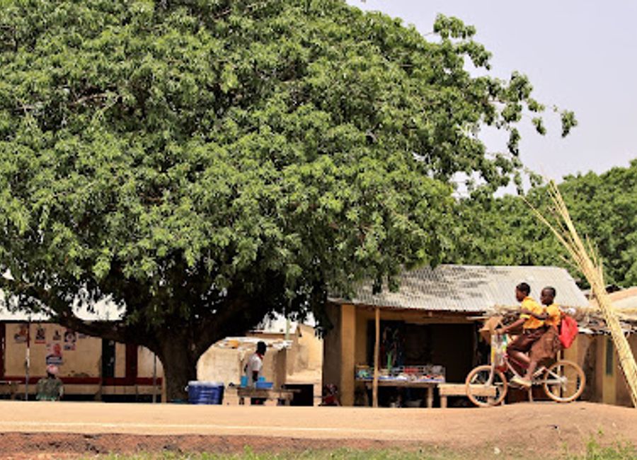 Explore Wechiau Hippo Sanctuary, a wildlife haven in Ghana where you can witness hippos in their natural habitat amidst stunning landscapes.