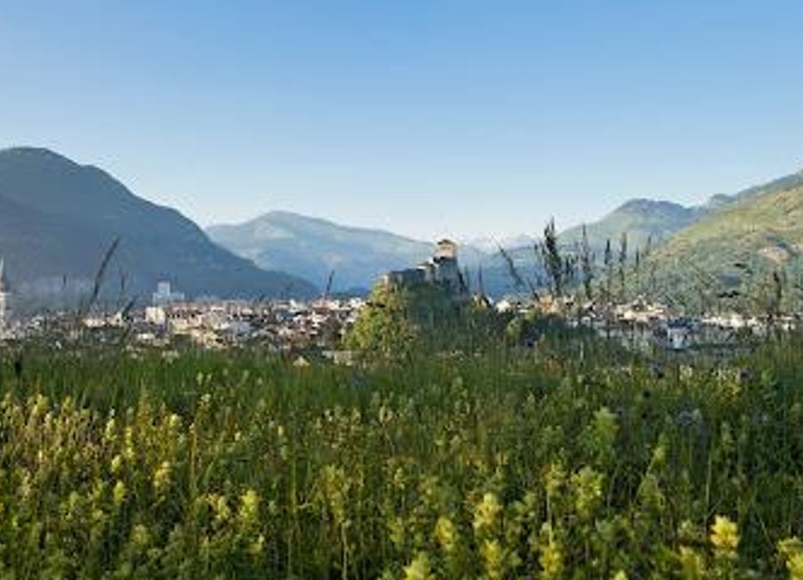 Explore Lourdes with ease from the Tourist Office, your gateway to sacred sites, local attractions, and the stunning Pyrenees mountains.
