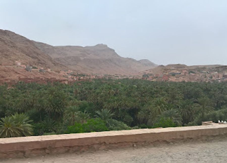 Explore the lush landscapes and rich agricultural heritage of Plantation de Tinghir, a serene oasis in the heart of Morocco's vibrant countryside.