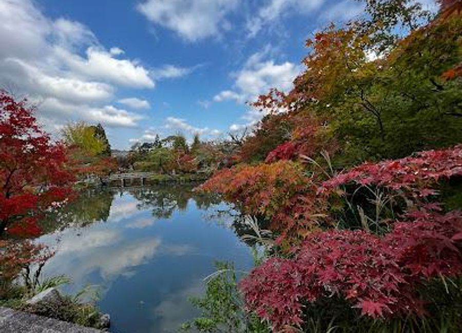 Discover the serene beauty of Eikandō Temple in Kyoto, a historic Buddhist site renowned for its stunning gardens and tranquil atmosphere.