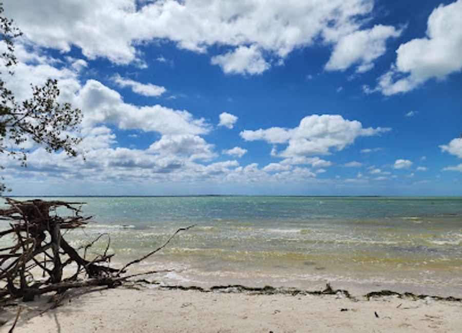 Discover the tranquil beauty of Punta Ciricote, a premier hiking area on Holbox Island, where nature meets adventure in Quintana Roo.