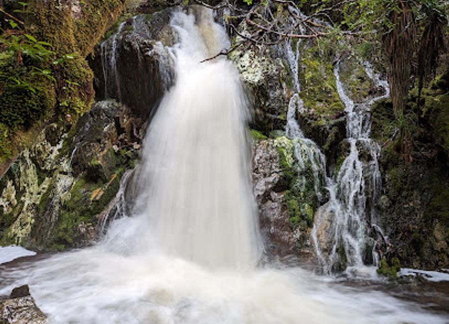 Explore the breathtaking Overland Track in Tasmania, a premier hiking destination showcasing stunning landscapes and unique wildlife.