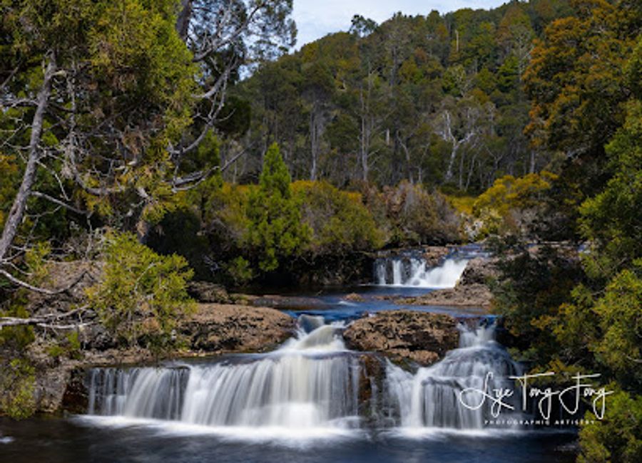 Discover the tranquil beauty of Pencil Pine Falls, an accessible and enchanting waterfall walk in Cradle Mountain's rainforest.