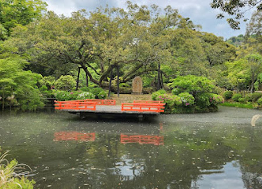 Experience the beauty of nature at Manyo Botanical Gardens in Nara, Japan, featuring diverse flora and serene landscapes perfect for relaxation.