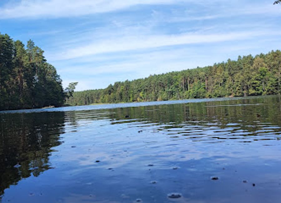 Discover the serene beauty of Zatoka Księżycowa, an enchanting bay in Poland, perfect for nature lovers and those seeking tranquility amidst stunning landscapes.