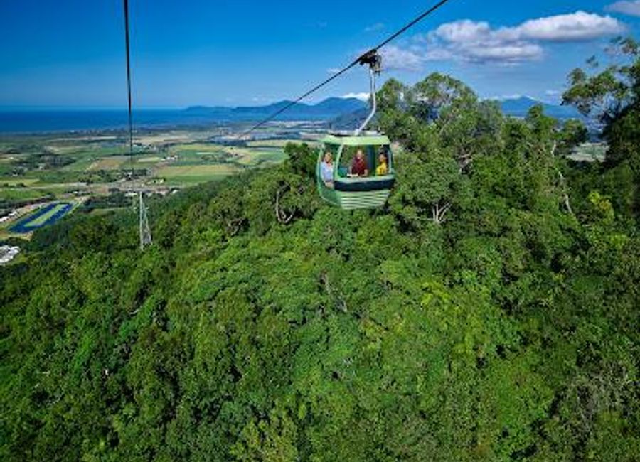 Soar above the lush landscapes of Queensland's Daintree Rainforest on the Skyrail Rainforest Cableway, an unforgettable natural adventure.