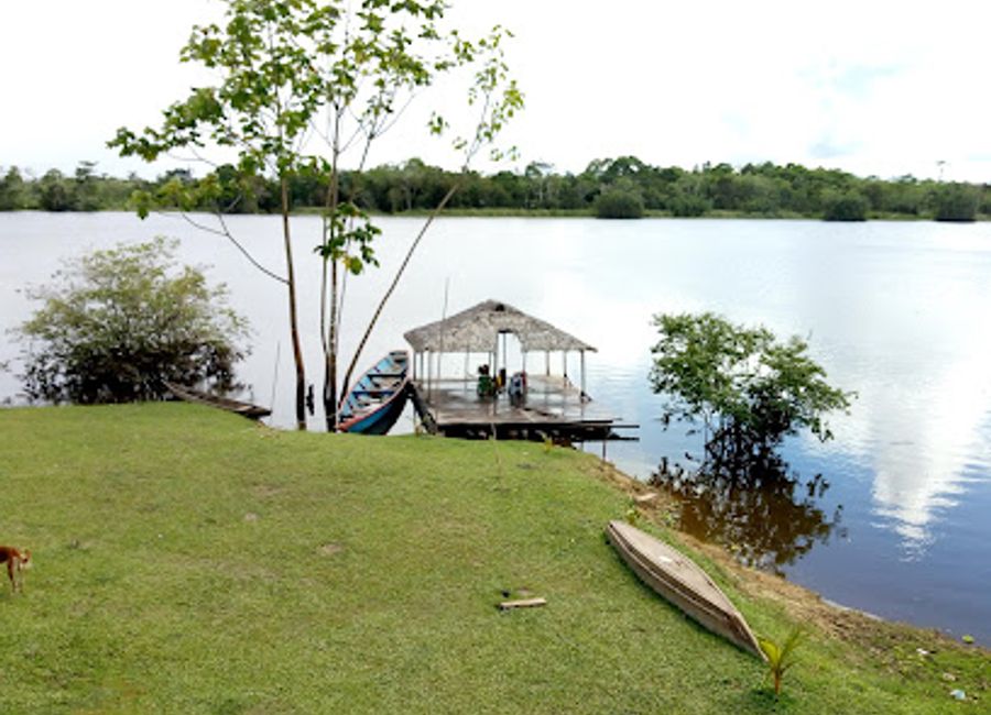 Discover the serene beauty and rich biodiversity of Lago Cuipari, a must-visit natural attraction in Peru for every nature lover.