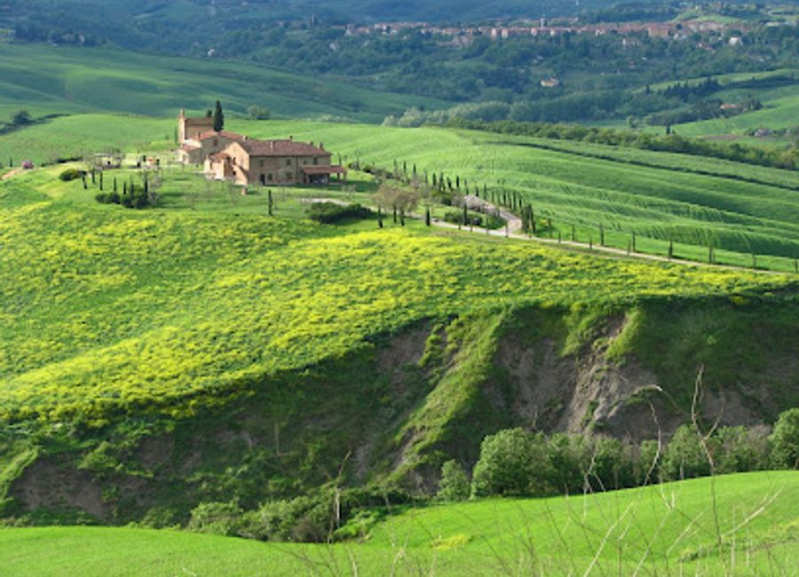 Explore Tuscany's enchanting vineyards and breathtaking landscapes with Very Tuscany's wine and sightseeing tours for an unforgettable experience.