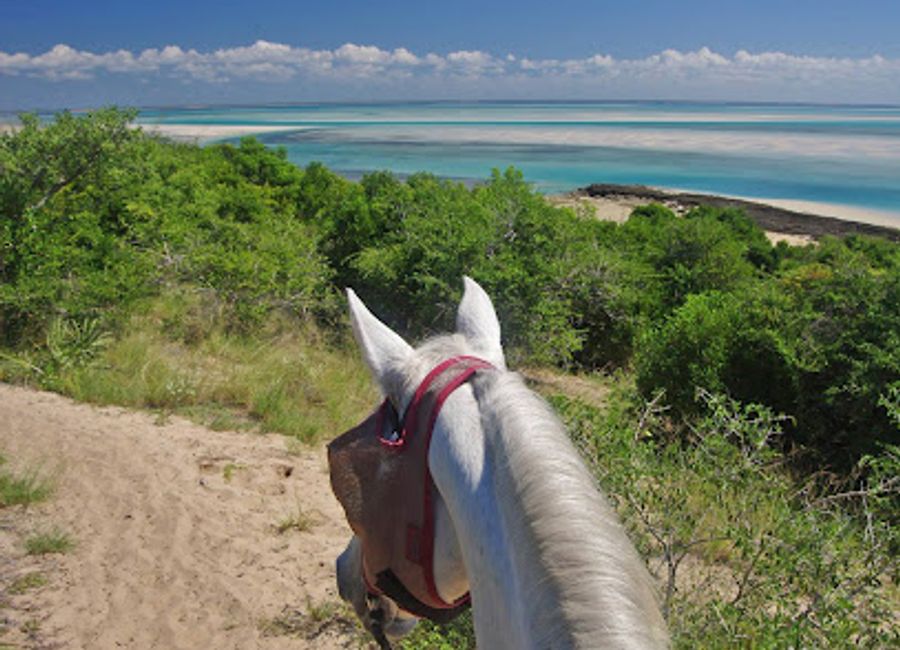 Experience the beauty of Mozambique on horseback at Mozambique Horse Safari, an unforgettable adventure in nature's paradise.