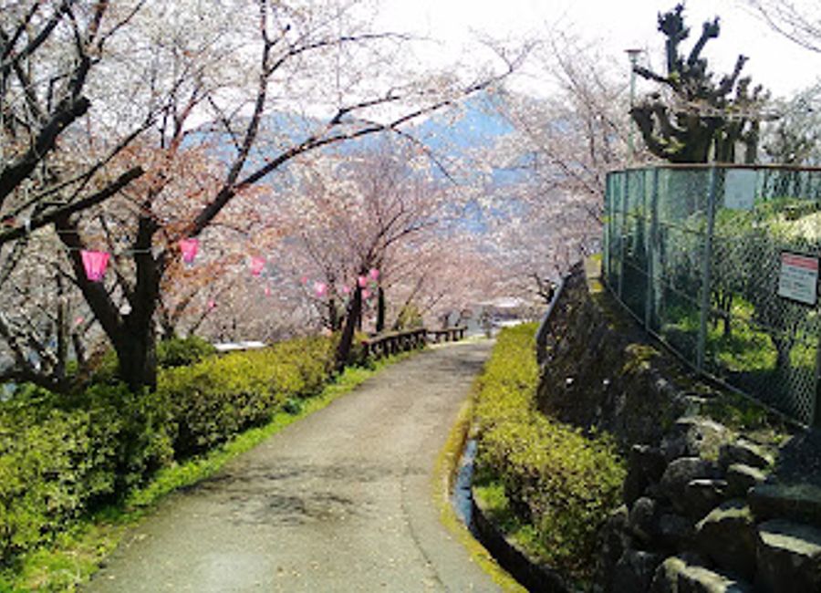 Explore the natural beauty and cultural heritage of Tateyama Park in Nagasaki, a serene oasis perfect for relaxation and exploration.