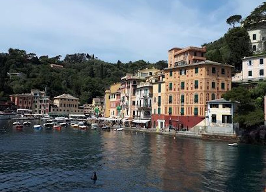 Experience the breathtaking beauty of the Area Marina Protetta di Portofino, a stunning marine preserve teeming with rich biodiversity and scenic coastal views.