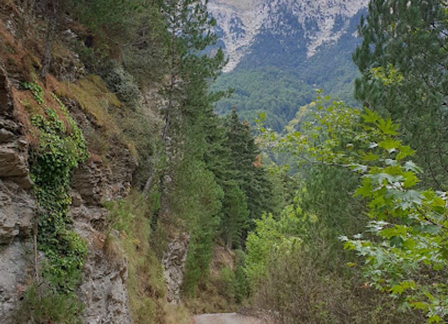 Discover the tranquil beauty and hiking adventures at Manganiari Spring in Greece's Peloponnese, perfect for nature lovers and outdoor enthusiasts.