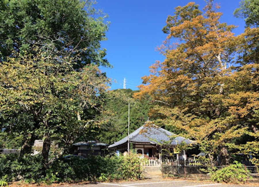 Experience serenity and spirituality at Fudarakusan-ji Temple, a hidden gem in Wakayama, Japan, perfect for cultural exploration and reflection.