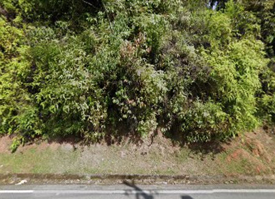 Experience the thrill of El Tobogán, a natural water slide in Guatapé, surrounded by stunning landscapes and vibrant local culture.