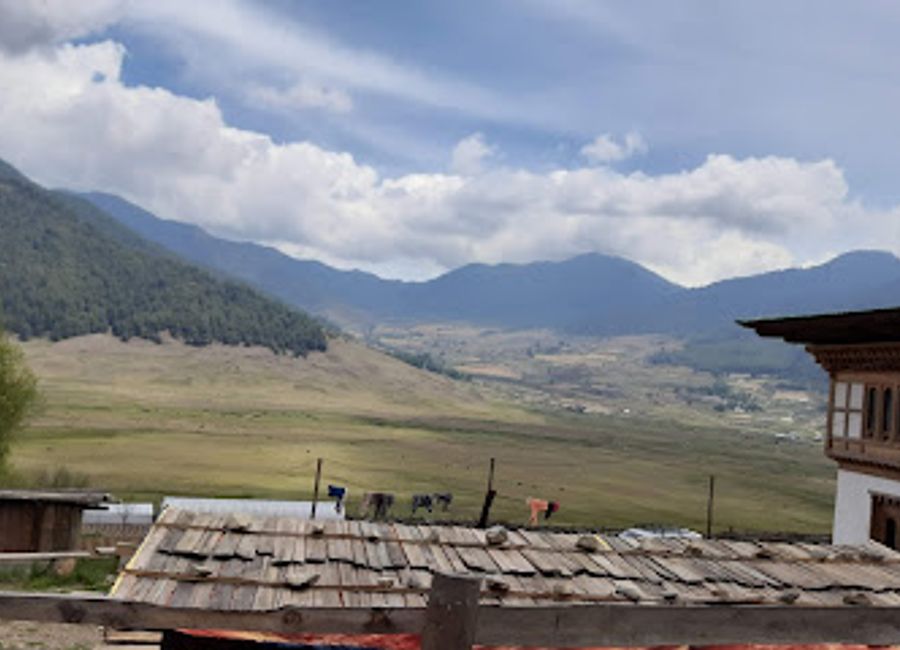 Explore the Black-necked Crane Visitor Centre in Phobjikha Valley, a serene destination for nature lovers and conservation enthusiasts in Bhutan.