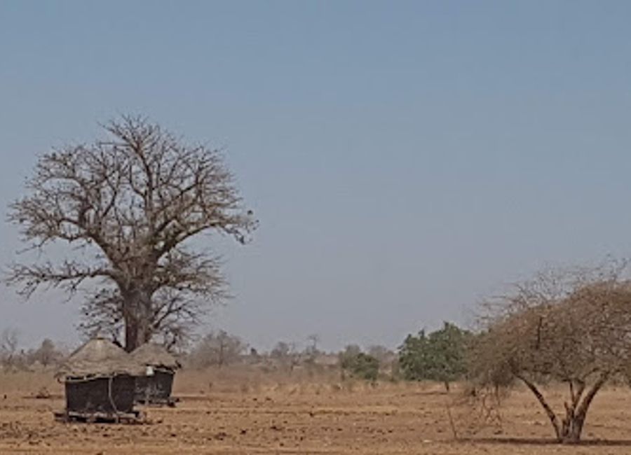 Discover the serene landscapes and rich biodiversity at Reserve Sylvo Pastorale de Doli, a nature preserve in Gassane, Senegal, perfect for outdoor enthusiasts.