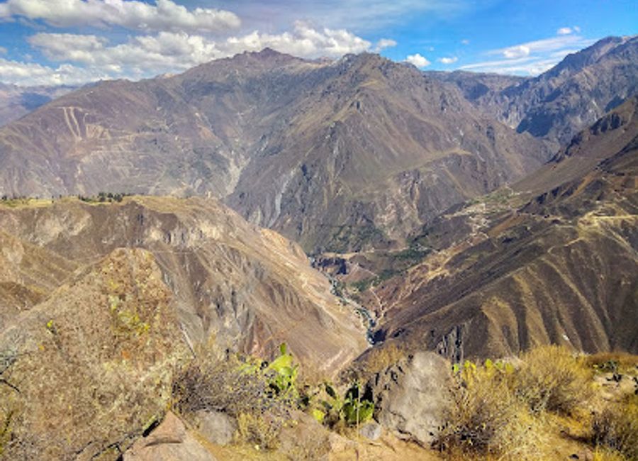 Discover the stunning vistas of Colca Canyon at Mirador de Achachihua, a top tourist attraction in Peru that offers breathtaking views and unforgettable experiences.