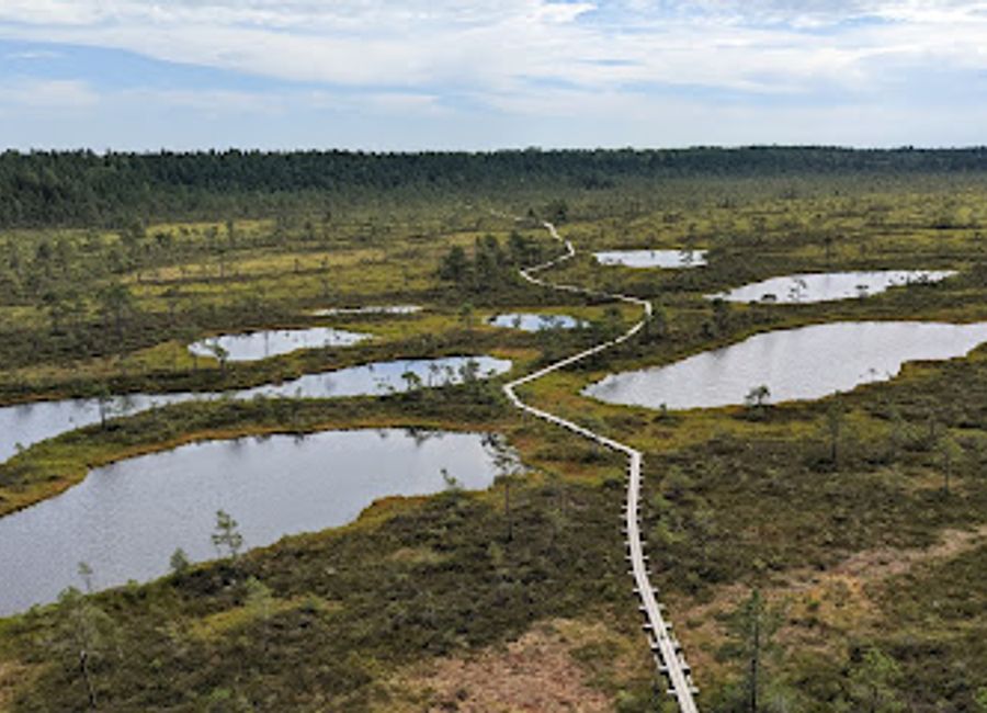 Discover the serene beauty of Mukri Nature Trail in Rapla County, a perfect hiking destination for nature lovers and adventure seekers alike.