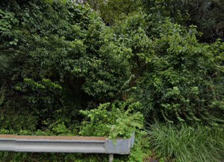 Discover breathtaking views and spiritual trails at Kumano-Kodo Shimizu-toge Pass, a must-visit hiking destination in Wakayama, Japan.