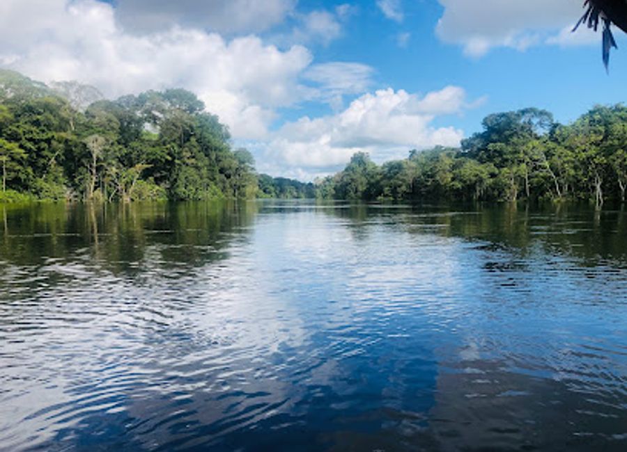 Discover the vibrant flora, diverse wildlife, and rich cultures of the Amazon rainforest at the Amazon Experience in Iquitos, Peru.