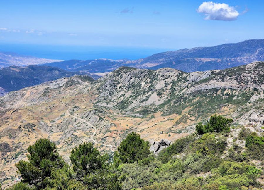 Explore the breathtaking heights of Jebel El-Kelaa Summit in Chefchaouen, a hiker's paradise surrounded by stunning landscapes and rich biodiversity.