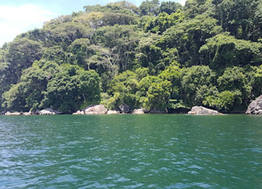 Explore the natural wonders of Nosy Mangabe, Madagascar's hidden gem known for its lush forests and diverse wildlife.