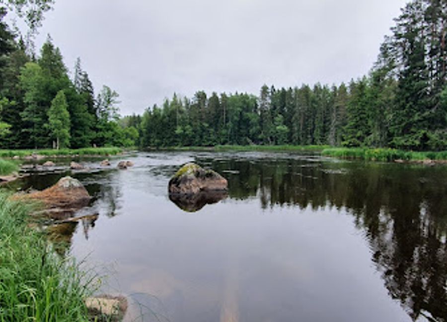 Explore Färnebofjärden National Park's stunning landscapes, diverse wildlife, and endless outdoor adventures in the heart of Sweden.