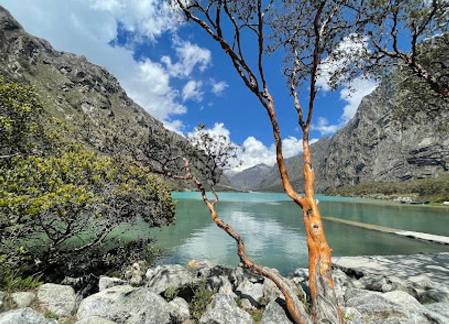 Experience the breathtaking beauty of Lagunas de Llanganuco, where turquoise lakes meet majestic Andean peaks in a natural paradise.