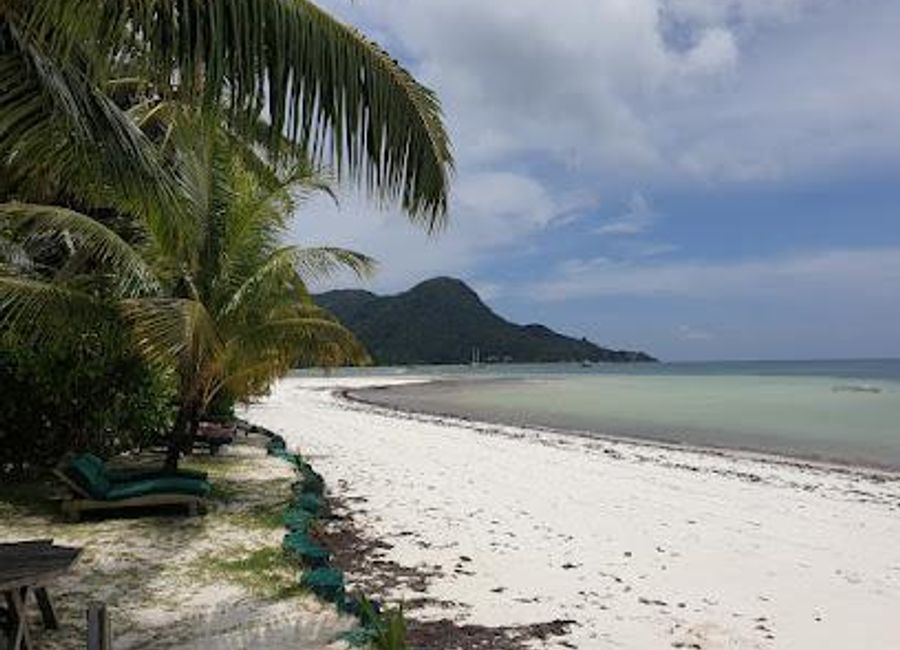 Discover the stunning beauty of Grand Anse Beach, a tropical paradise in Seychelles with pristine sands and vibrant marine life.