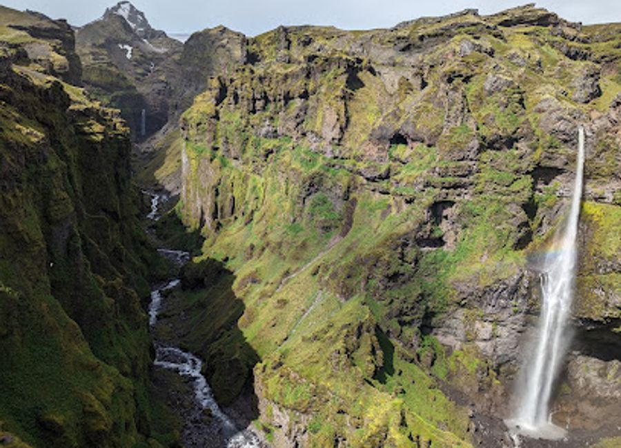 Discover the stunning beauty of Mulagljufur Canyon, a top destination in Iceland featuring breathtaking landscapes and diverse wildlife.