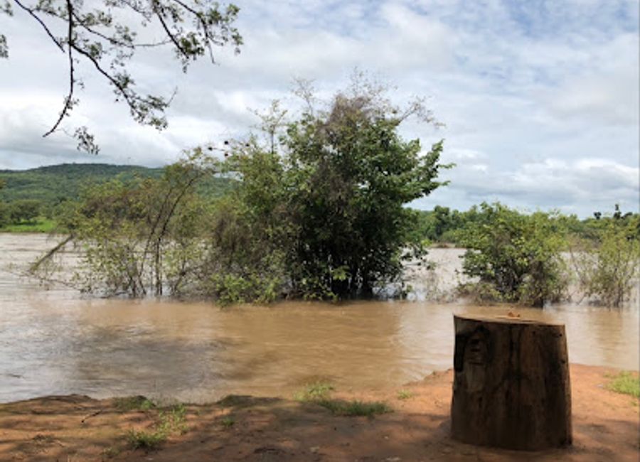 Experience the breathtaking beauty of Petowal Hill, a national park in Senegal, rich in biodiversity and stunning landscapes for nature enthusiasts.