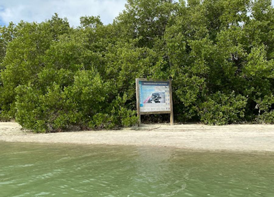 Experience the tranquility of Rio Kuka, a national reserve in Holbox, where nature's beauty and biodiversity come alive.