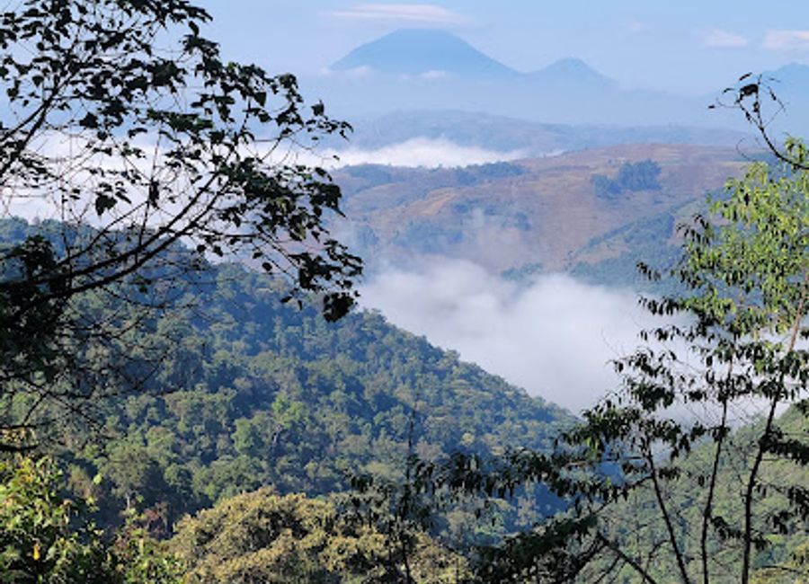 Discover Ruhija, Uganda: A stunning gateway to Bwindi Impenetrable National Park, where adventure and nature await every traveler.