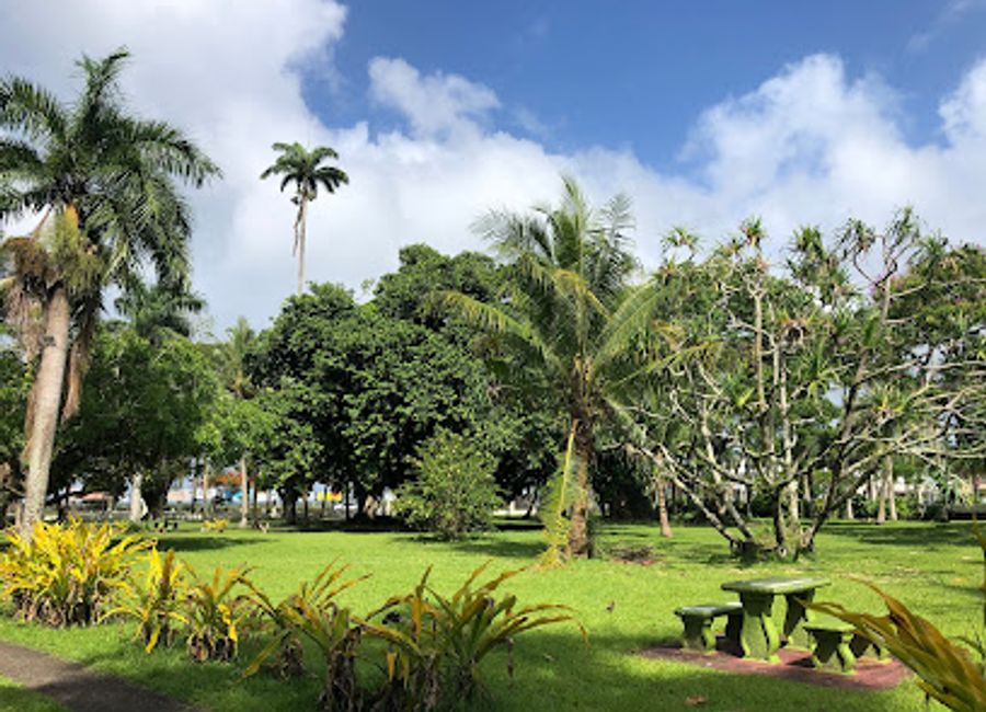 Discover the lush beauty of Thurston Gardens, a tranquil botanical haven in Suva, where nature and history blend seamlessly.